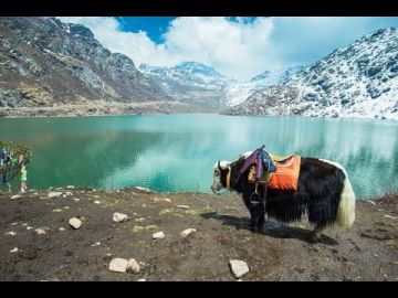 6 Days darjeeling, gangtok, tsomgo with bagdogra Tour Package