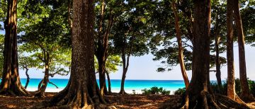 Beautiful 5 Days Port Blair Vacation Package