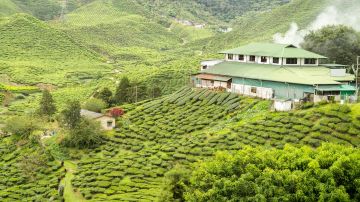 Amazing 4 Days 3 Nights cochin and munnar Tour Package