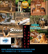 Family Getaway 3 Days nagpur with tadoba Holiday Package