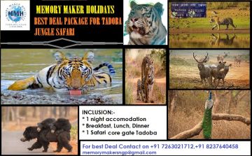 Family Getaway 3 Days nagpur with tadoba Holiday Package