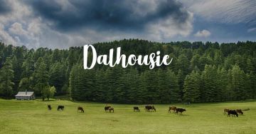 9 Days 8 Nights shimla, manali, dharamshala and dalhousie Wildlife Holiday Package