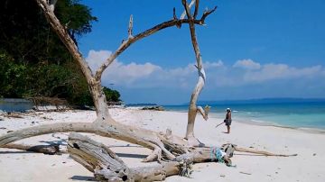 Ecstatic 4 Days Port Blair to havelock island Holiday Package