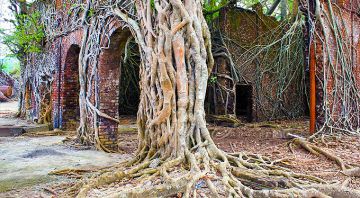 Heart-warming 4 Days 3 Nights port blair Trip Package