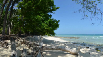 Heart-warming 4 Days 3 Nights port blair Trip Package