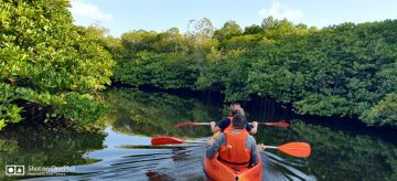 Amazing havelock island Water Activities Tour Package for 2 Days