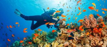 Amazing havelock island Water Activities Tour Package for 2 Days