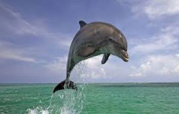 Memorable 7 Days 6 Nights north goa Holiday Package