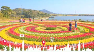 Family Getaway 7 Days srinagar to gulmarg Trip Package