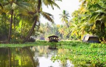 Special Wayanad Cochin Alleppey Tour Package 3N4D
