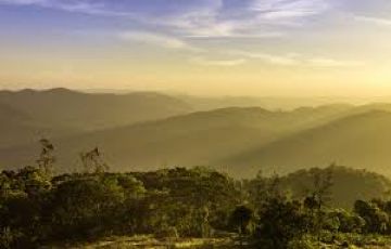 Special Wayanad Cochin Alleppey Tour Package 3N4D