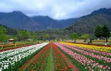 6 Days 5 Nights srinagar Family Trip Package