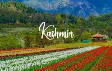 6 Days 5 Nights srinagar Family Trip Package