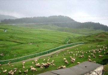 6 Days 5 Nights srinagar, gulmarg with pahalgam Hill Stations Trip Package