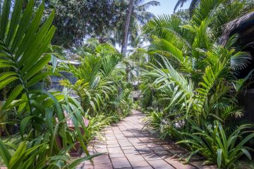 Pleasurable 4 Days South Goa to North Goa Honeymoon Tour Package