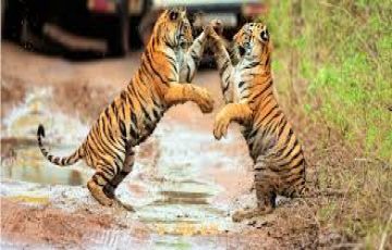 Heart-warming 6 Days guwahati to cherrapunjee Holiday Package