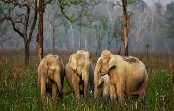 Heart-warming 6 Days guwahati to cherrapunjee Holiday Package