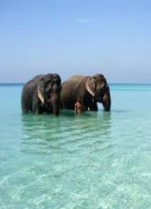 Heart-warming 5 Days havelock island Tour Package