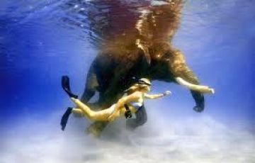 6 Days 5 Nights neil island Nature Trip Package