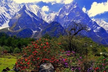 NORTH SIKKIM 3 DAYS FIXED DEPARTURE TRIP FROM GANGTOK @ Rs 6000/- Only