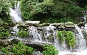 Family Getaway 4 Days 3 Nights dharamshala Holiday Package