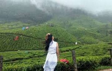 5 Days munnar, thekkady, alleppey and cochin Trip Package