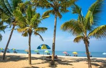 8 Days 7 Nights munnar Hill Stations Holiday Package