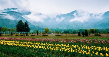 Memorable 5 Days 4 Nights pahalgam Tour Package