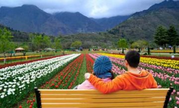 Amazing 4 Days 3 Nights srinagar Honeymoon Holiday Package