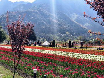 Magical 6 Days srinagar, pahalgam and gulmarg Vacation Package