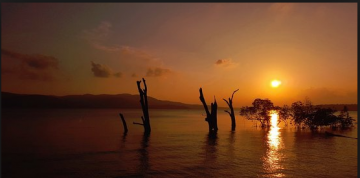 Experience 5 Days havelock island Holiday Package