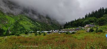 Experience 6 Days 5 Nights joshimath Tour Package