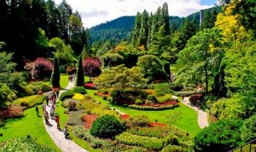 Memorable 6 Days arrival at delhi  tour ends to manali  kullu naggar castle Trip Package