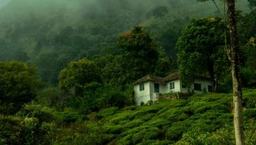 5 Days 4 Nights Mumbai to kozhikode Tour Package