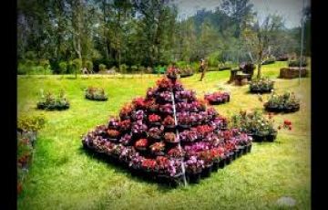 Ecstatic 5 Days 4 Nights munnar Holiday Package