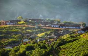 5 Days 4 Nights Mumbai to munnar Trip Package