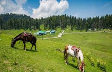 Pleasurable 5 Days Srinagar to gulmarg Trip Package