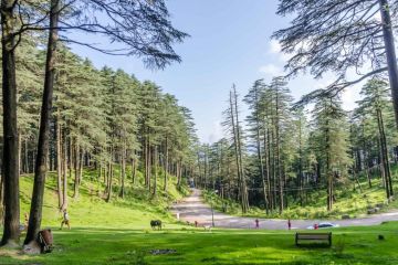 6 Days 5 Nights srinagar to gulmarg Holiday Package