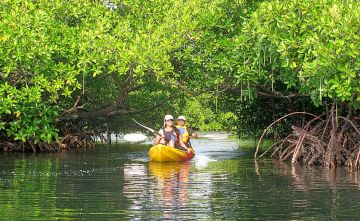 8 Days 7 Nights Port Blair to neil island Trip Package