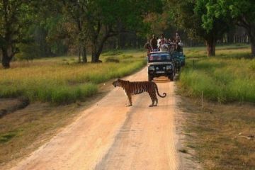 5 Days 4 Nights Mumbai to nainital Holiday Package