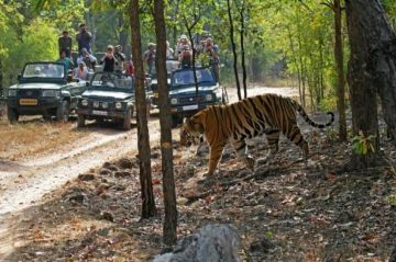 Memorable 5 Days 4 Nights corbett Vacation Package