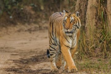 5 Days 4 Nights Mumbai to nainital Vacation Package