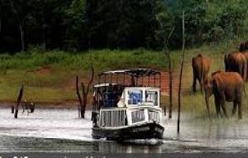 5 Days 4 Nights Cochin to thekkady Tour Package