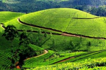 Amazing 4 Days Mumbai to ooty Vacation Package