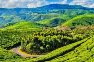Ecstatic 5 Days Mumbai to ooty Vacation Package