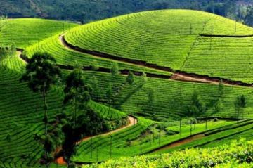 Ecstatic 5 Days Mumbai to ooty Vacation Package