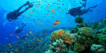 5 Days 4 Nights Andaman And Nicobar Islands Tour Package