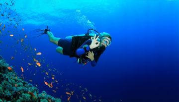 5 Days 4 Nights Andaman And Nicobar Islands Tour Package by Fly2travel opc pvt ltd