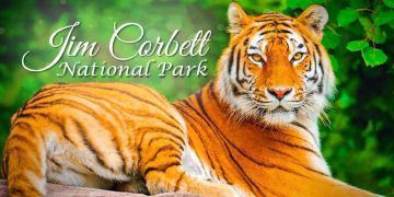 3 Days 2 Nights Jim Corbett Tour Package by Fly2travel opc pvt ltd