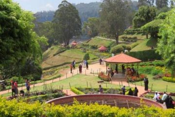 Ecstatic 5 Days 4 Nights ooty Vacation Package